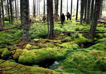 Vimperk: Šumavská divočina opět láká turisty