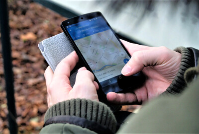 Ústecký kraj: Aplikace ukáže výskyt kůrovce v lesích